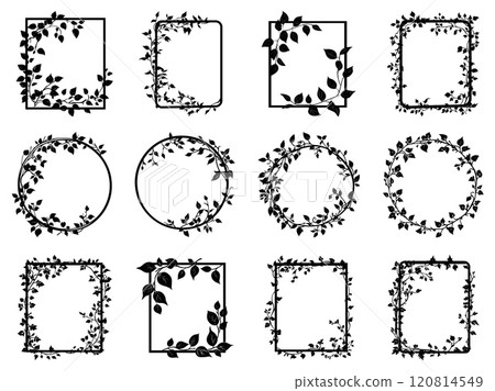 Silhouette ivy liana frame set. Round and rectangular shape. Spindly vine creeping plant. Nature foliage decorative design element. Black and white simple flat style. Isolated vector on white 120814549