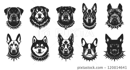 Guard dog black icon portrait with spiked collar set. Front view. Purebred pet canine animal. Print dog training property protection symbol security design element. Front view. Isolated vector clipart 120814641