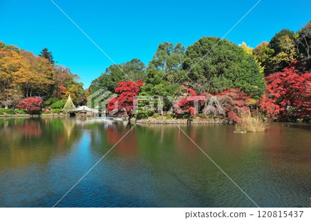 秋天的藥師池公園 — 藍天與秋葉 秋天的藥師池公園 — 藍天與秋葉 120815437