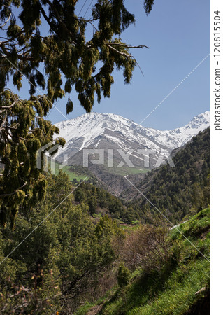 mountain scenery, snow-capped peak beyond the lush forest 120815504
