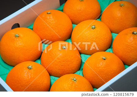 The perfect gift: Ehime Prefecture's Beni Madan, with a jelly-like texture 120815679