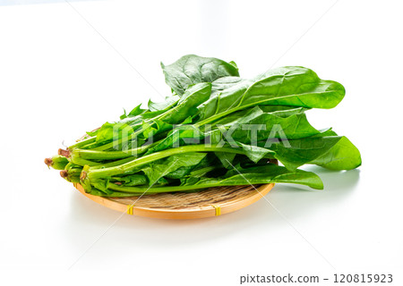 Spinach  120815923