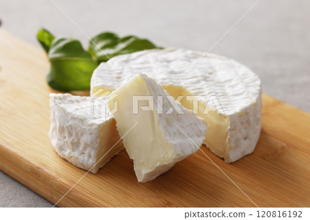 Camembert cheese 120816192
