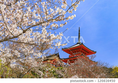 Temple Temple 120816450