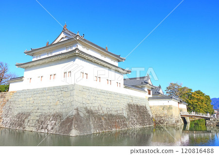 靜岡縣靜岡市駿府城辰巳櫓風景 靜岡縣靜岡市駿府城辰巳櫓風景 120816488