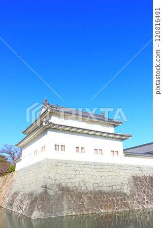 Scenery of Sunpu Castle Tatsumi Yagura, Shizuoka City, Shizuoka Prefecture 120816491