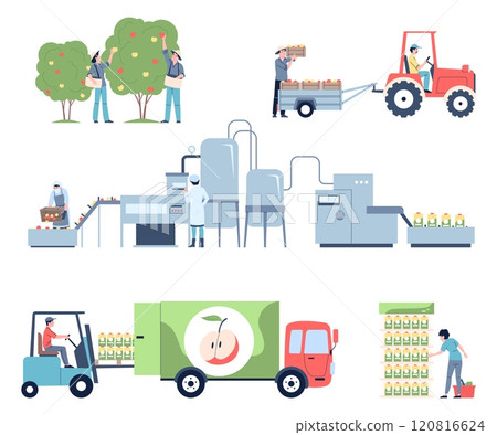Juice production process. Farmers harvest apples from trees, transportation on food factory. Fresh drink making on manufacture, recent vector scenes Juice production process. Farmers harvest apples from trees, transportation on food factory. Fresh drink making on manufacture, recent vector scenes 120816624