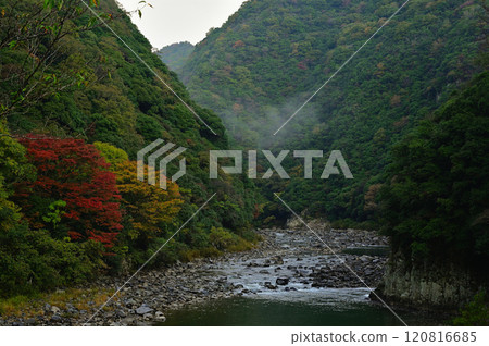 山谷被霧氣籠罩 120816685