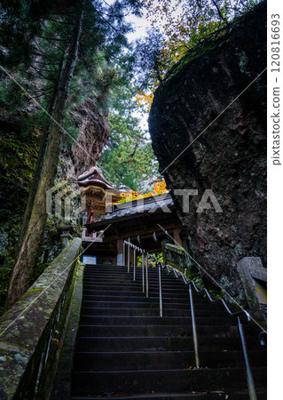 Haruna Shrine Soryumon Gate in Autumn Haruna Shrine Soryumon Gate in Autumn 120816693