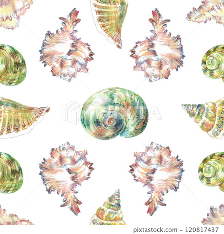 Shell pattern underwater world in watercolor. Murex Endivia, Voluta Virescens, Conch Snail, Turbo shell, Moon, Rosy Wolf snail sea shells with different form. Sea snails can be used as a sticker, a 120817437