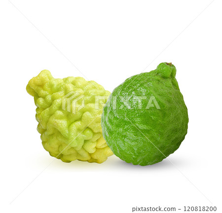 yellow and green kaffir lime kimg of herb on white background. yellow and green kaffir lime kimg of herb on white background. 120818200