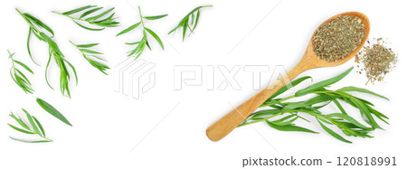 tarragon or estragon fresh and dried isolated on a white background with copy space for your text. Top view. Flat lay 120818991