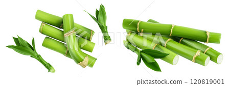 Green bamboo with leaves isolated on white background. Top view. Flat lay 120819001