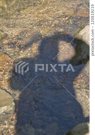 shadow of the photographer shadow of the photographer 120819219