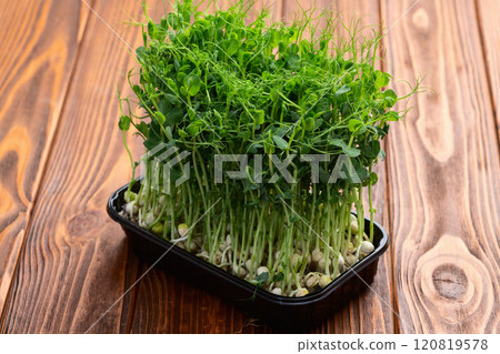 Organic microgreen pea photography . Healthy food . Top view Organic microgreen pea photography . Healthy food . Top view 120819578