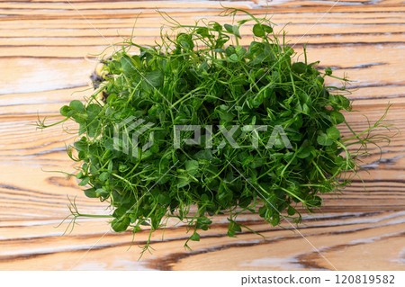 Organic microgreen pea photography . Healthy food . Top view Organic microgreen pea photography . Healthy food . Top view 120819582