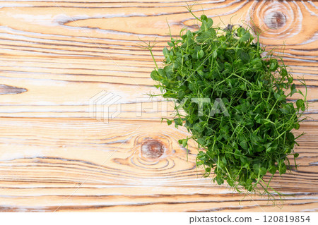 Organic microgreen pea photography . Healthy food . Top view Organic microgreen pea photography . Healthy food . Top view 120819854