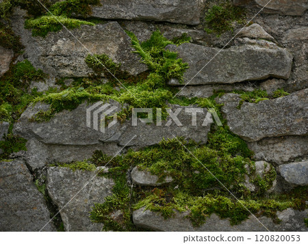 Stone antique wall covered with moss. Abstract wallpaper background Stone antique wall covered with moss. Abstract wallpaper background 120820053