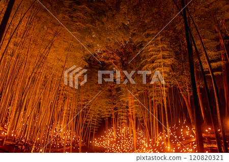 小築城跡市民之森竹燈節2024 120820321