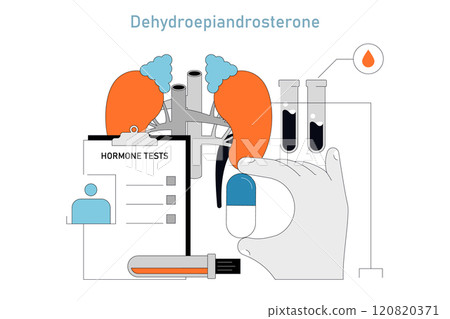 DHEA Supplement concept. Visual guide to hormone testing, adrenal health, and medical supplements. Hints at clinical evaluations and endocrine balance. Vector illustration. 120820371