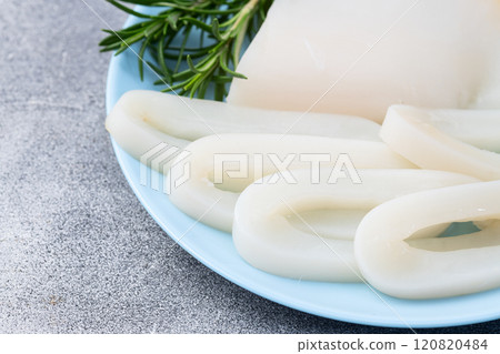 Squid tube and ring photography . Seafood top view Squid tube and ring photography . Seafood top view 120820484