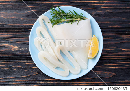 Squid tube and ring photography . Seafood top view Squid tube and ring photography . Seafood top view 120820485