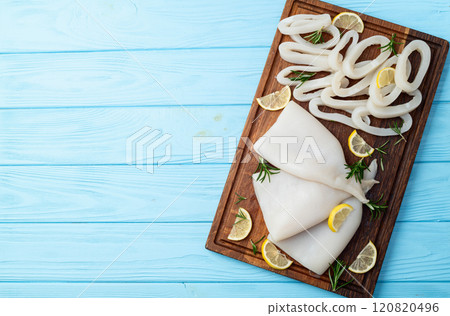Squid tube and ring photography . Seafood top view Squid tube and ring photography . Seafood top view 120820496