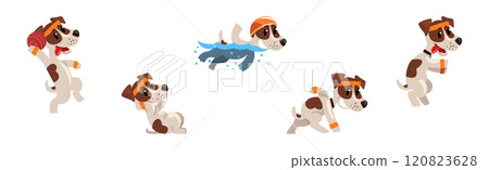 Funny Jack Russell Terrier Puppy Do Sport Activity Vector Set 120823628