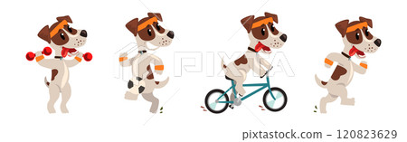 Funny Jack Russell Terrier Puppy Do Sport Activity Vector Set 120823629