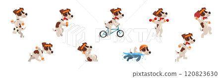 Funny Jack Russell Terrier Puppy Do Sport Activity Vector Set 120823630