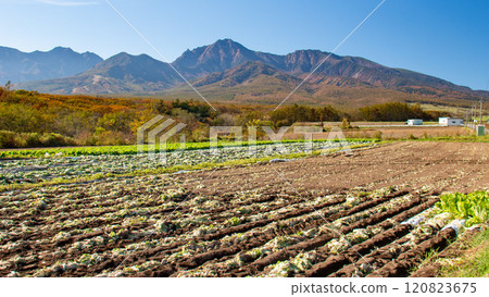 Autumn in the Yatsugatake mountain range, Hokuto City, Yamanashi Prefecture, Japan 120823675