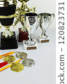 A collection of trophies and medals displayed on a wooden table 120823731