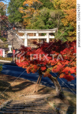 Kairakuen Momiji Valley in full autumn color Kairakuen Momiji Valley in full autumn color 120824707