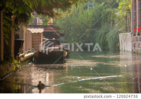 Scenery of the old town of Colmar, Colmar, France 120824738
