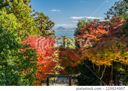 從滋賀縣大津坂本日吉東照宮參道眺望琵琶湖 120824907