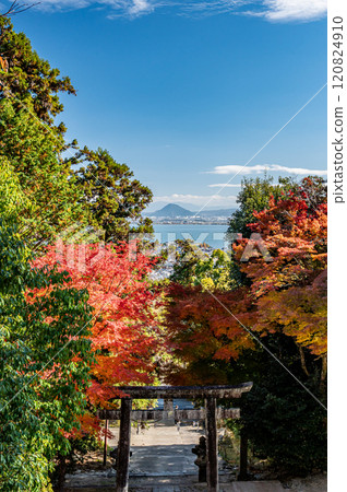 從滋賀縣大津坂本日吉東照宮參道眺望琵琶湖 從滋賀縣大津坂本日吉東照宮參道眺望琵琶湖 120824910