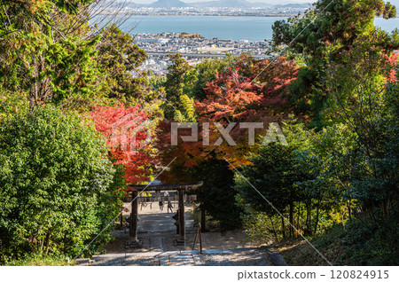 從滋賀縣大津坂本日吉東照宮參道眺望琵琶湖 120824915