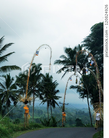 A highway in a Balinese village is decorated before the holidays. Traditional bamboo sticks along the roadside A highway in a Balinese village is decorated before the holidays. Traditional bamboo sticks along the roadside 120824926