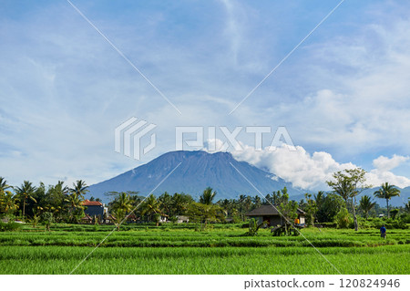 Volcano Agung on the island of Bali emits smoke. Morning view of the volcano over a green rice field on the popular tourist island of Bali. Volcano Agung on the island of Bali emits smoke. Morning view of the volcano over a green rice field on the popular tourist island of Bali. 120824946