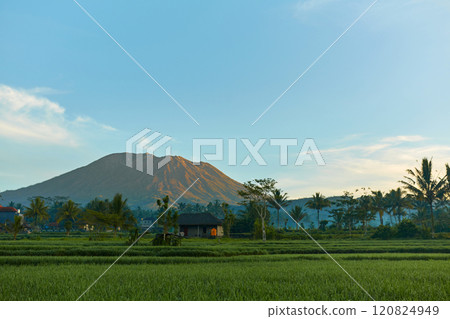 Panorama of Mount Agung and rice fields on the island of Bali. View of the mountain against a background of palm trees and a cornfield. Panorama of Agung volcano covered with clouds on a sunny day. Panorama of Mount Agung and rice fields on the island of Bali. View of the mountain against a background of palm trees and a cornfield. Panorama of Agung volcano covered with clouds on a sunny day. 120824949