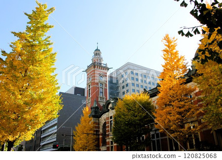 Yokohama Three Towers Jack Tower, Autumn leaves at Yokohama Port Opening Memorial Hall, Kanagawa Prefecture 120825068