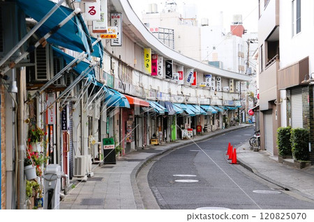 Miyakobashi Shopping Street in Noge, downtown Yokohama, Yokohama City, Kanagawa Prefecture 120825070