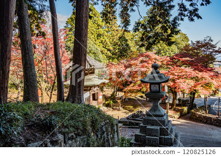 滋賀縣大津市坂本,從早藥神社參道看到的早藥地藏像和石燈籠 滋賀縣大津市坂本,從早藥神社參道看到的早藥地藏像和石燈籠 120825126
