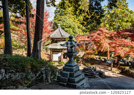 滋賀縣大津市坂本，從早藥神社參道看到的早藥地藏像和石燈籠 120825127