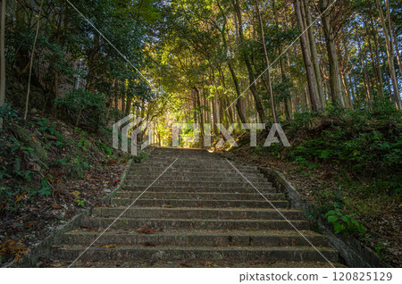 滋賀縣大津市坂本 通往早尾神社的石階 滋賀縣大津市坂本 通往早尾神社的石階 120825129