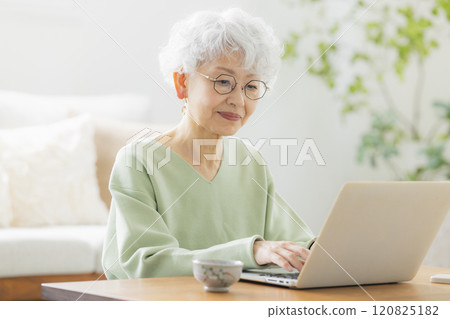 操作計算機的一位資深婦女 120825182