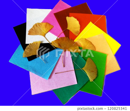 Ginkgo leaves and colored paper Ginkgo leaves and colored paper 120825341