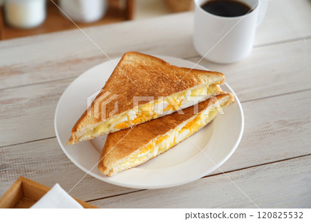 Hot sandwich 120825532