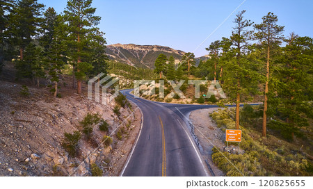 Aerial of Serene Mountain Road Through Forest, Mt Charleston, Nevada 120825655