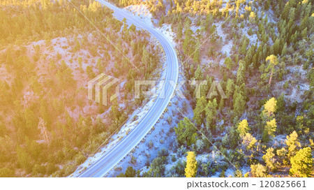 Aerial of Winding Forest Road in Mt Charleston at Golden Hour 120825661